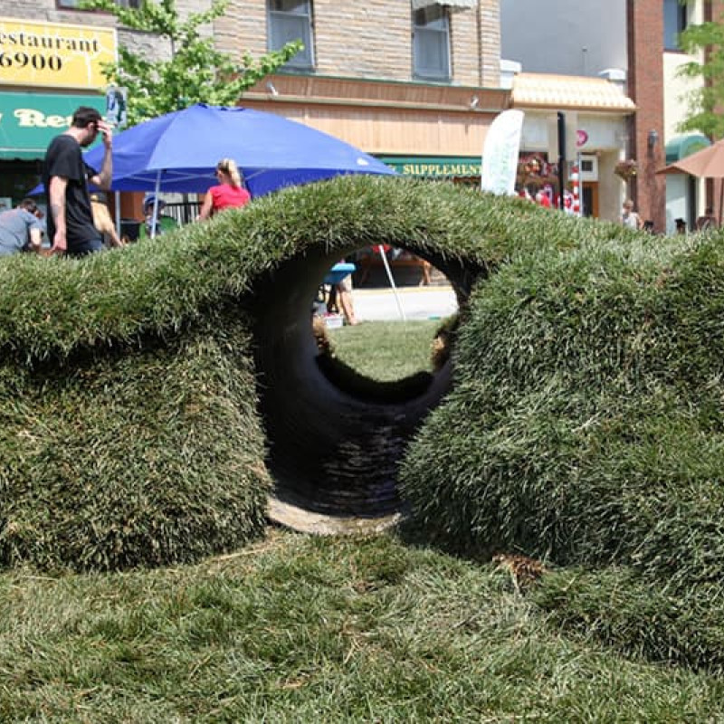 keeping-play-alive-16