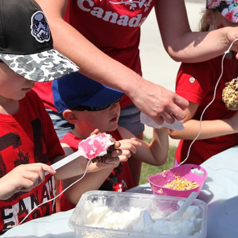 keeping-play-alive-26