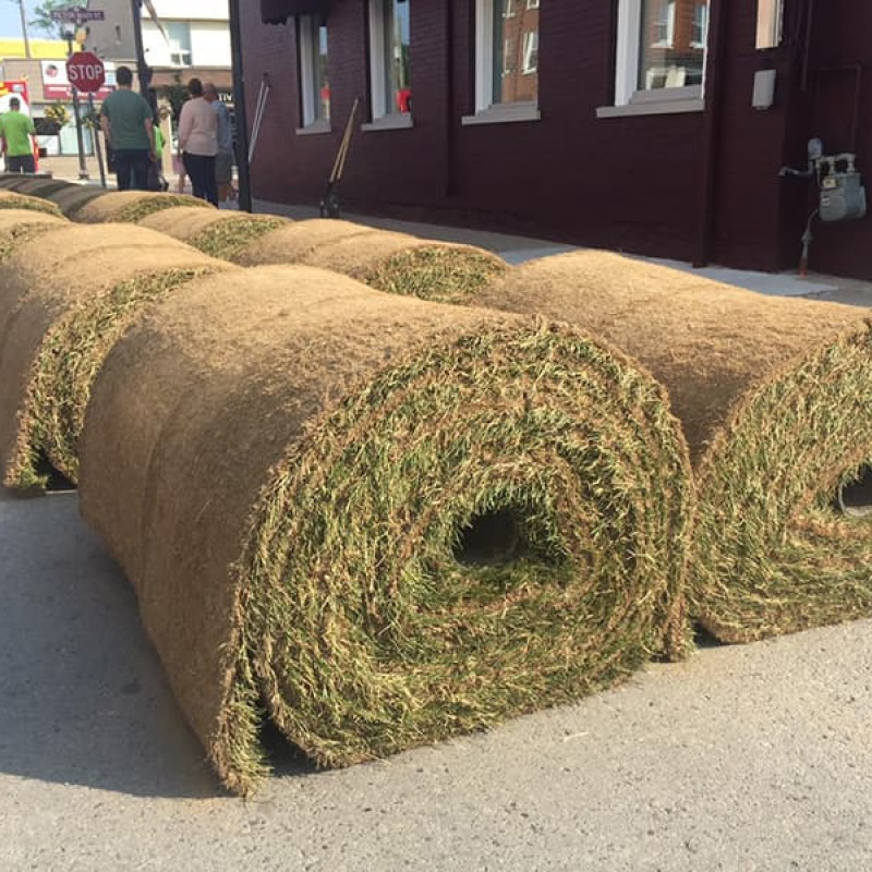 keeping-play-alive-20