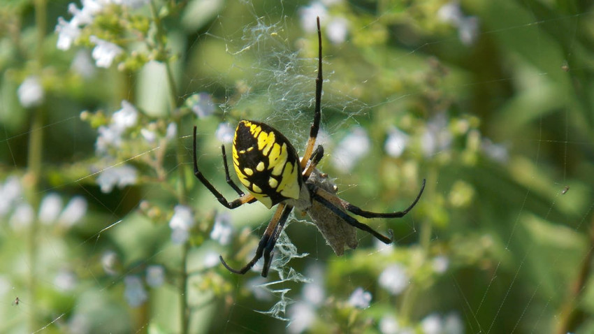 Blog Image