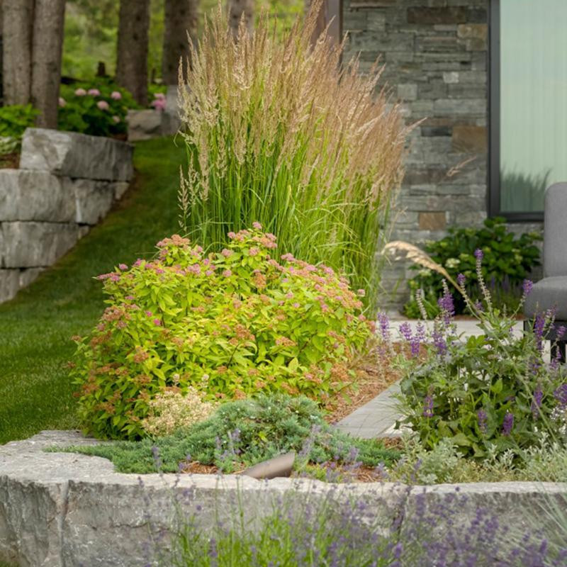 7314006fde50f90ce1ba713916058952