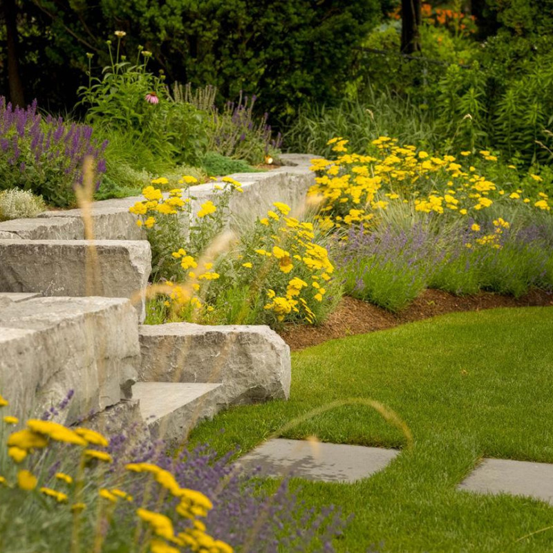 7dea6a57b6665b54e719c95da88f85e9