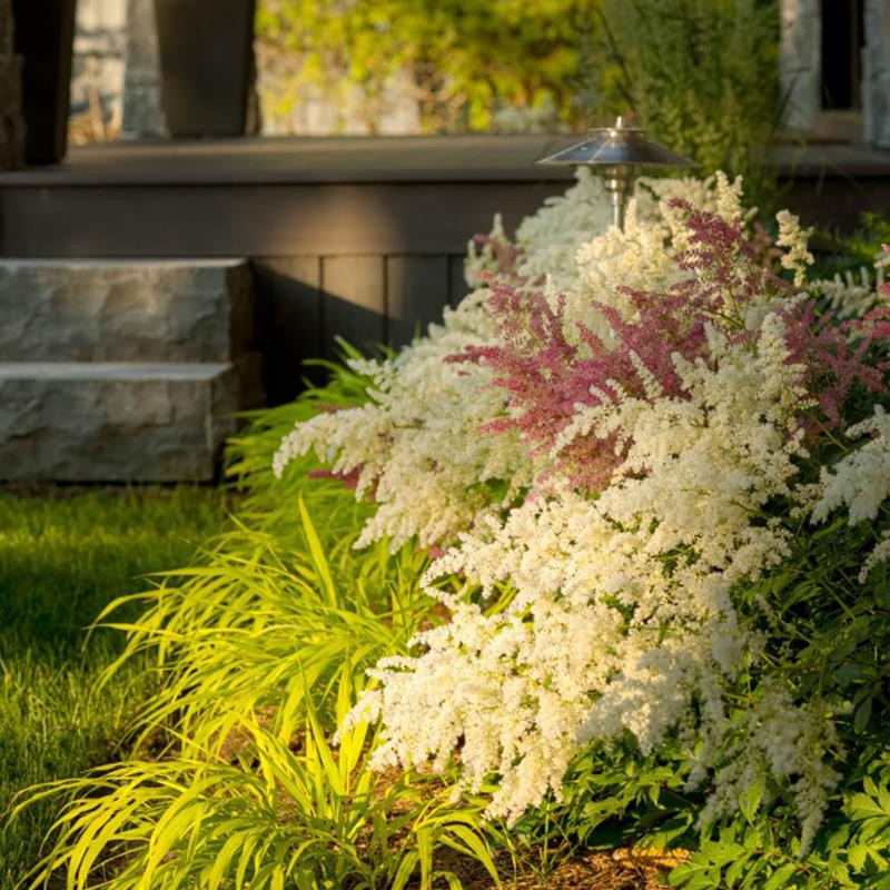 a67e17033432cae509d1547f11c10f49