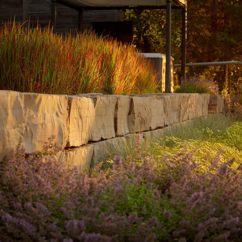 mnp-wls-66rich-ln-024