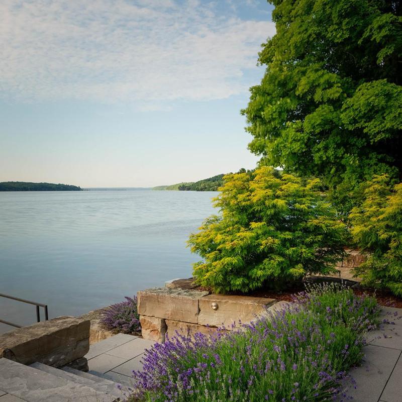 mnp-wls-66rich-ln-066