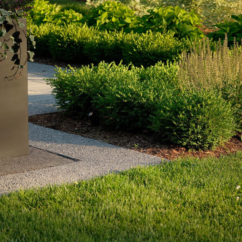 mnp-wls-66rich-ln-070