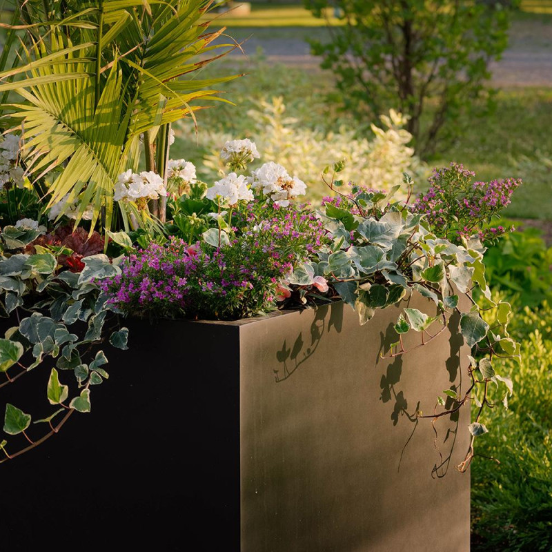 mnp-wls-66rich-ln-081