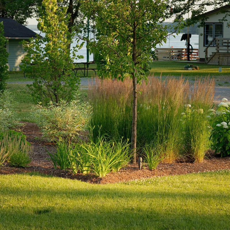 mnp-wls-66rich-ln-091