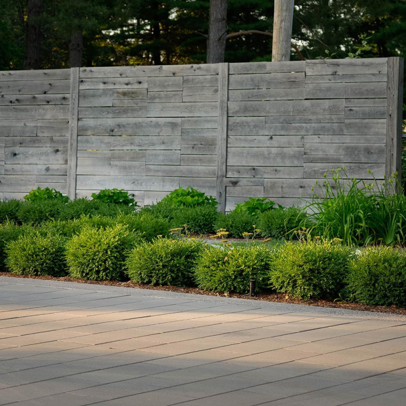 mnp-wls-66rich-ln-094