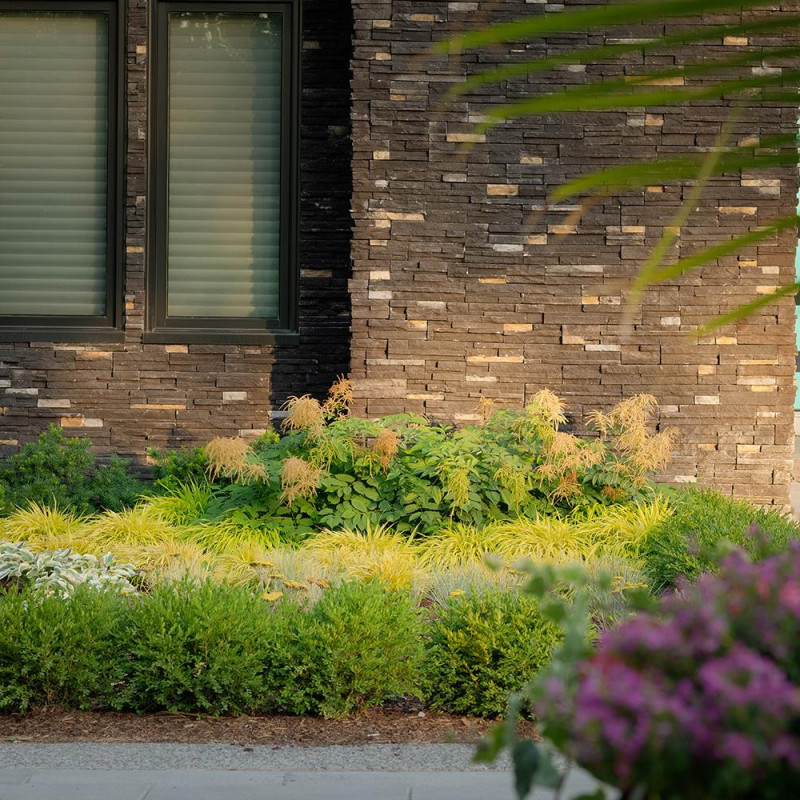 mnp-wls-66rich-ln-096