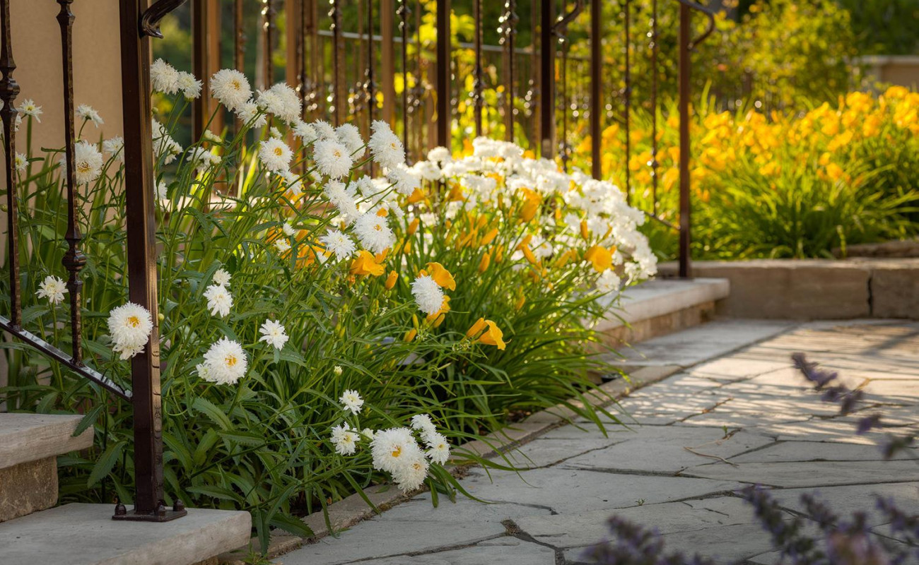 front-gardens-gallery-4