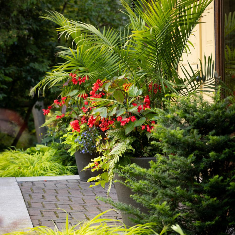 front-gardens-gallery-2