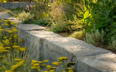 Native plantings image