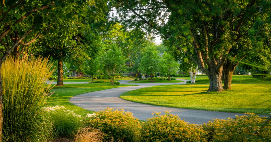 Is Grass Good for the Environment?